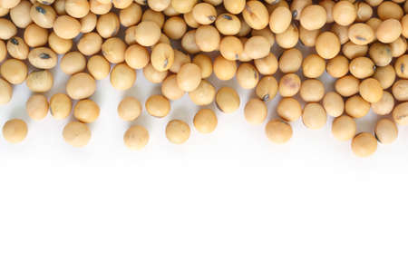 soy bean plant seed healthy vegetable food nature backgroundの写真素材