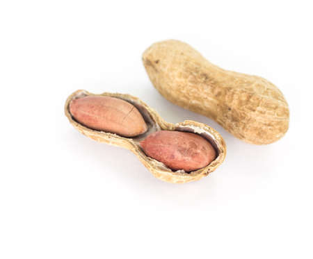 peanut seed shell food on white backgroundの写真素材