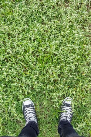 top foot grass unique perspective