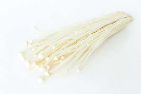 mushrooms on white background.の写真素材