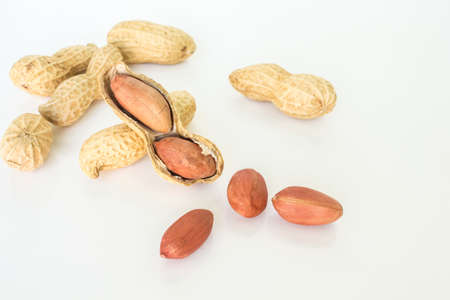 peanut pile on white backgroundの写真素材