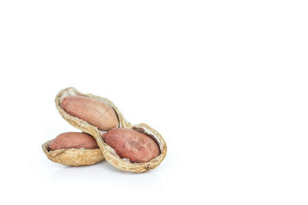 peanut seed shell food on white background