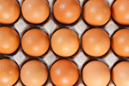 Egg chicken in tray full texture background.