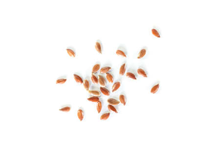 Brown flax seed on white background.