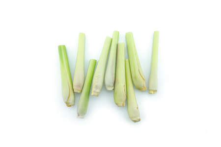 lemon grass on white background.の写真素材