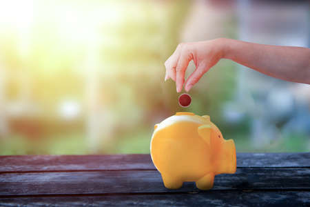 Hand hold and dropping coin in piggy yellow piggy bank, piggy bank on old wooden table with blurred...