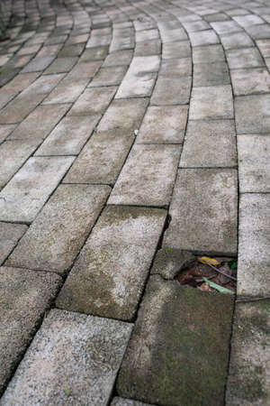 walking road textureの写真素材