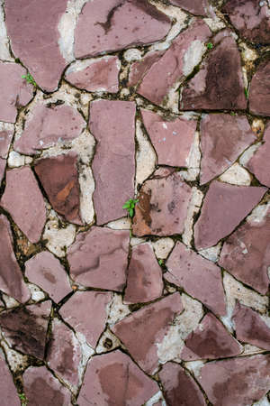 walking street pattern by stoneの写真素材