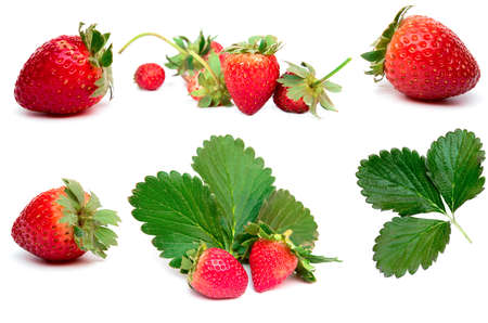 collection strawbery isolated on white backgroundの写真素材