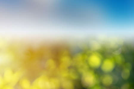 blurred background green bokeh with blue sky