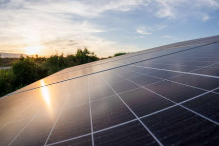solar energy in sugar farm, green power, natural energy for farmerの写真素材