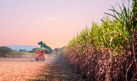 small robot in clearance room, 3d illustration renderingの写真素材