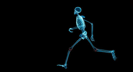 human skeleton running with red hight light at knee, Osteoarthritis knee joint when running concept, 3d illustration renderingの写真素材