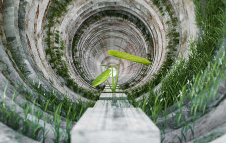 hydrogen power and wind tubine for generate green hydrogen, zero emission power, 3d illustration renderingの写真素材