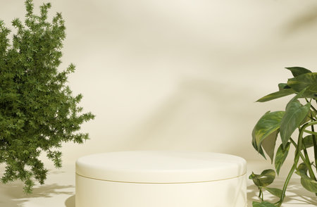 podium mock up design for product presentation, 3d illustration renderingの写真素材