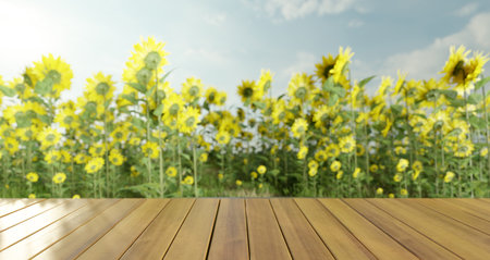 Table floor with sunflower background, 3d illustrations renderingの写真素材
