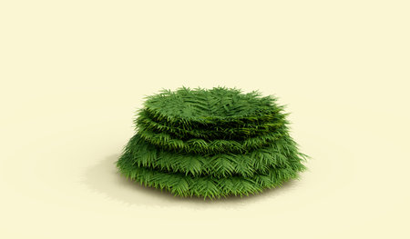 stacked multiple layers of fern plant, designed for podium plant on clear color back drop, 3d illustration renderingの写真素材