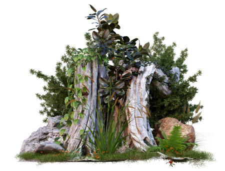 Isolated death tree stump with ivy and small plant growing around, 3d illustration renderingの写真素材