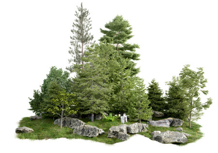 isolated cut out small forest and tree group on hill on white background with clipping pathの写真素材