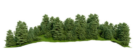 Isolated green forests on white background with clippings path, 3D illustrations renderingの写真素材