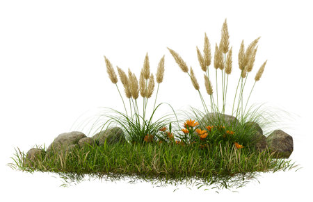 Grass field group isolated on white background with clipping path, 3d illustration renderingの写真素材