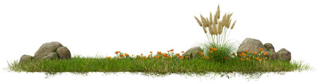 Grass field row group isolated on white background, 3d illustration renderingの写真素材