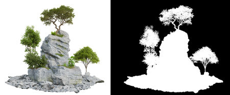 tree on mountain rock on white background with clipping path, 3d illustration renderingの写真素材