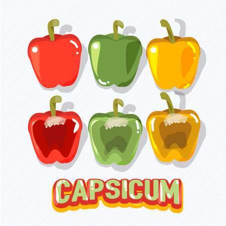 capsicum fruit - vector illustrationのイラスト素材