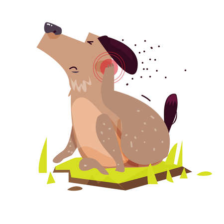 Dog scratching. Itchy Skin - vector illustrationのイラスト素材