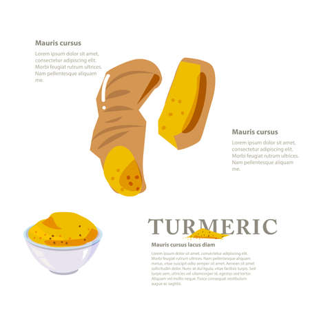 Turmeric with powder bowl. herbal concept - vector illustrationのイラスト素材
