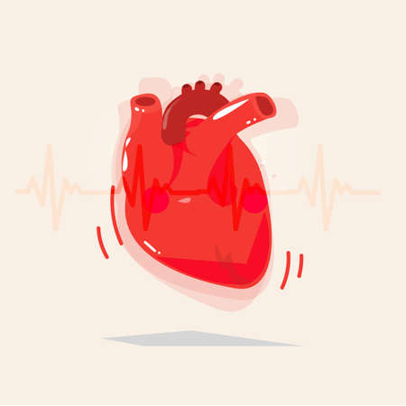 Human heart with beat - vector illustraionのイラスト素材