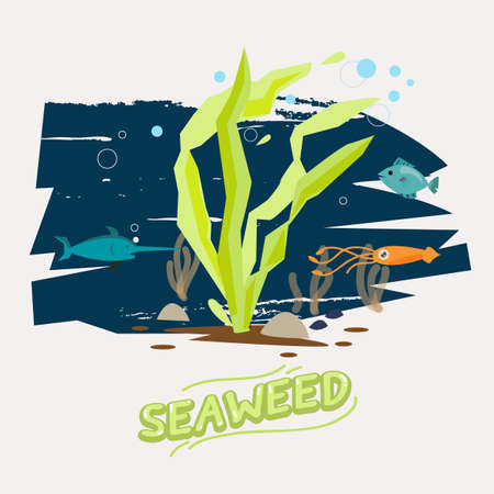 seaweed under water with fish, octopus and Swordfish  - vector  illustrationのイラスト素材