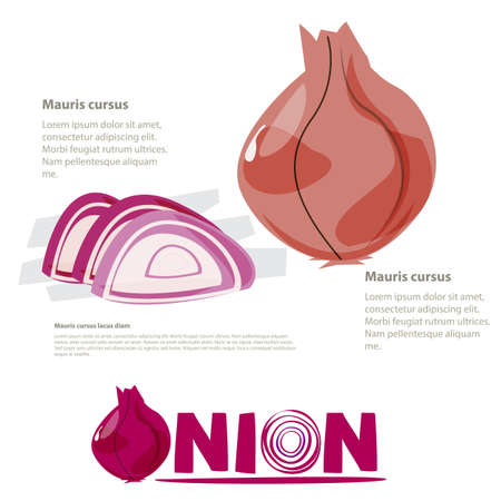 onion set. infographic - vector illustrationのイラスト素材