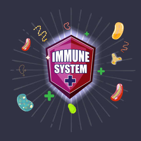 immune shield with reflect virus and bacteria, immune system defence concept - vector illustrationのイラスト素材