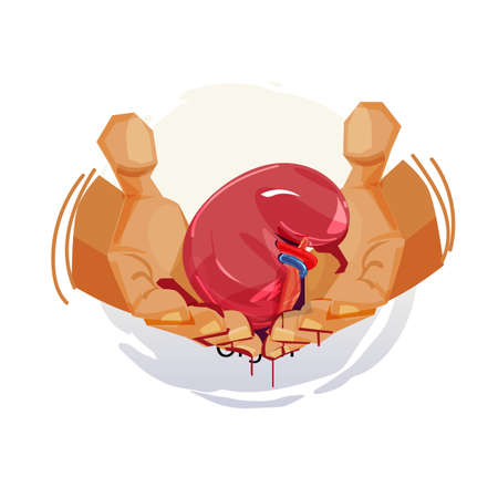 Human hand with kidney. organ transplant or trafficking - vector illustrationのイラスト素材