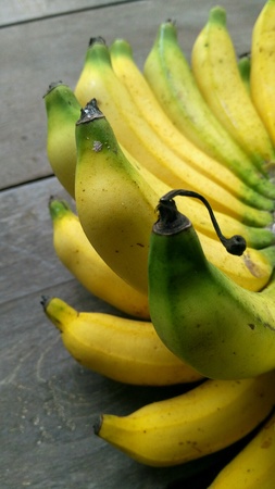 Bananaの素材