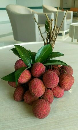 Fresh Lychee on Tableの素材