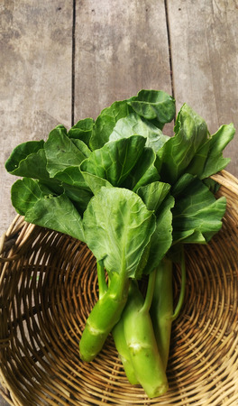 Chinese Kale or Gai Lanの写真素材