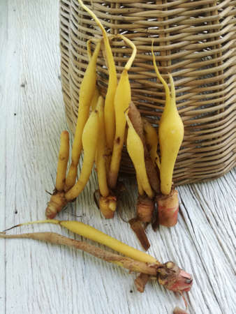 Fresh Finger Roots outside of Basket