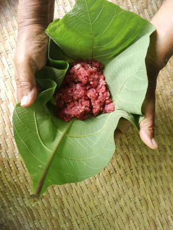 Ground Beef on Green Leaf held by handsの写真素材