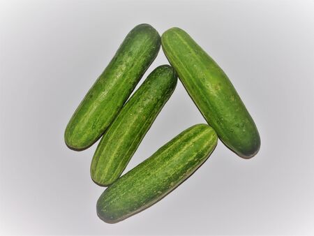 Cucumbers on white background.の写真素材