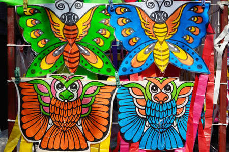 Owl and butterfly kiteの写真素材