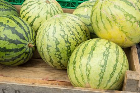 Melonsの写真素材