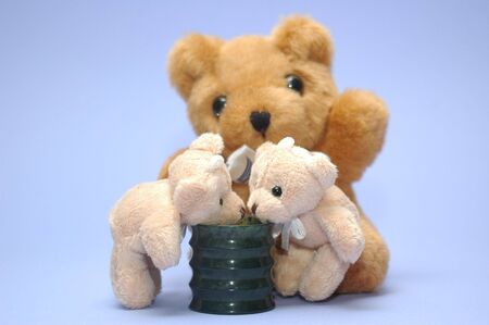 bear picture, good for wallpaper  and gift paperの写真素材