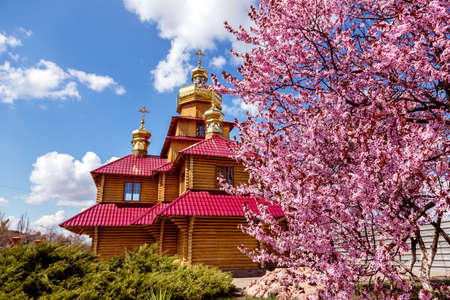 Kriviy Rih, Ukraine, April 22, 2015. Wooden Orthodox church and a purple blossoming magnolia tree....