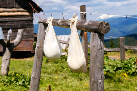 bags of ripening cheese on a mountain farmの写真素材