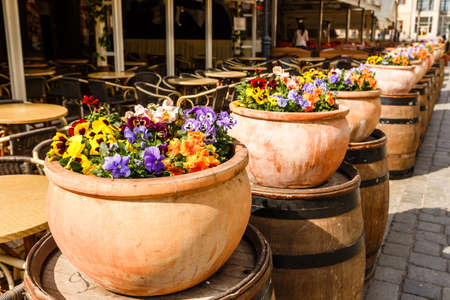 Pots of brightly colorful flowers in a row near the cafe in the old town. Sunny summer day.の写真素材