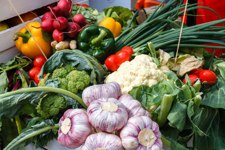 Fresh vegetables - garlic, cauliflower, greenery, onion on a picnic table on a summer day. Healthy eating.の写真素材