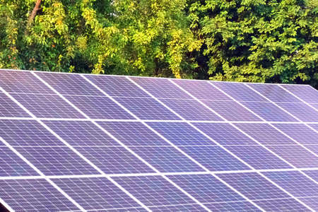 Solar Photovoltaic Energy Panels Close-Up on a background of green trees at Sunny Day