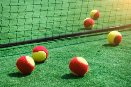 Group of Tennis Balls and Neton a Green Grass Court at Sunny Day.